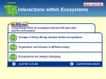 Interactions within Ecosystems - slide 1