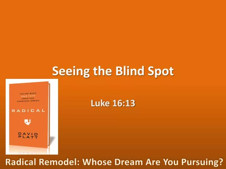 seeing the blind spot