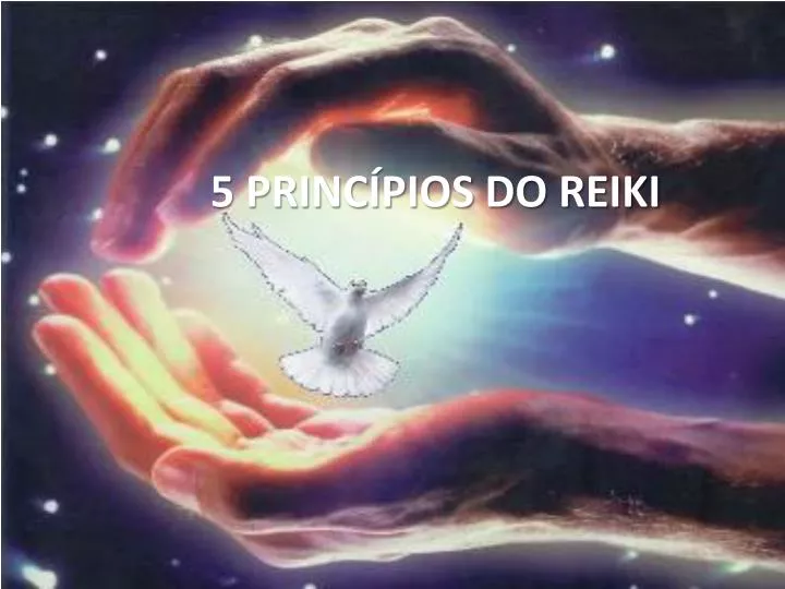 5 princ pios do reiki