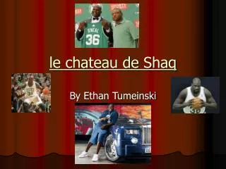 le chateau de shaq