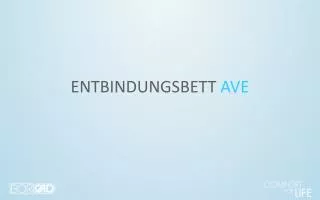 entbindungsbett ave