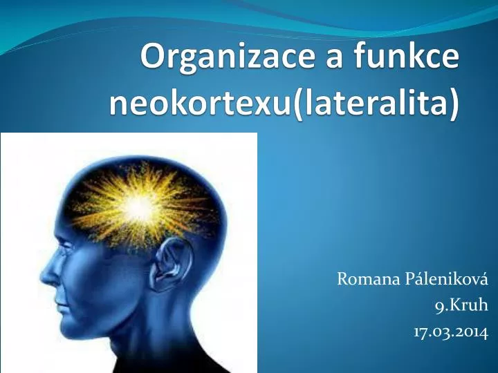 organizace a funkce neokortexu lateralita