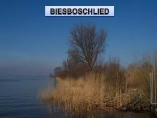 fotoalbum