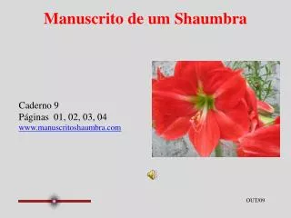 manuscrito de um shaumbra