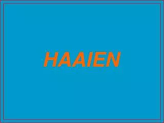 haaien