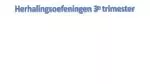 Herhalingsoefeningen 3 e trimester - slide 1