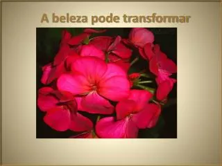a beleza pode transformar
