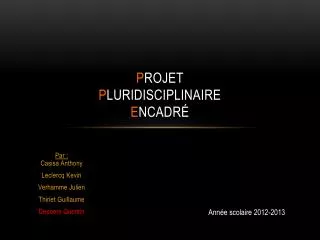 p rojet p luridisciplinaire e ncadr