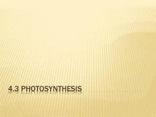 4.3 Photosynthesis