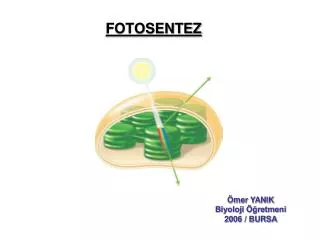 fotosentez