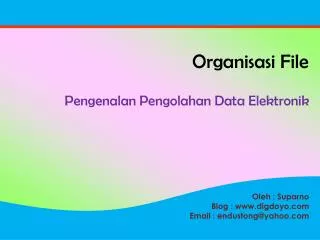 organisasi file