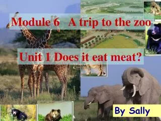 Module 6 A trip to the zoo