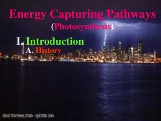 Energy Capturing Pathways ( Photosynthesis )
