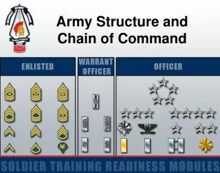 Army Structure and Chain of Command