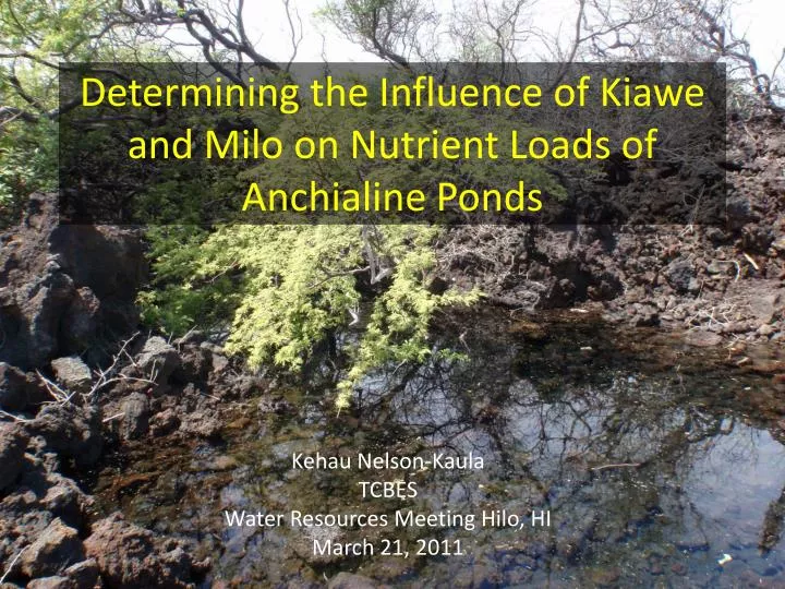 determining the influence of kiawe and milo on nutrient loads of anchialine ponds