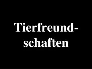 tierfreund schaften
