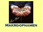 Makro- opnamen - slide 1