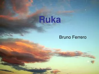 brun o ferrer o