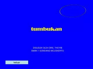 tumbukan