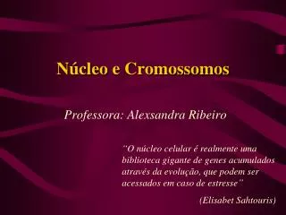 n cleo e cromossomos
