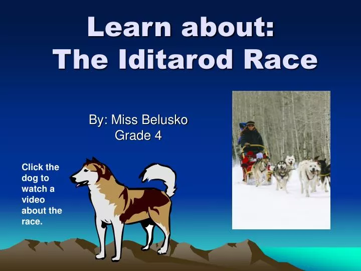 learn about the iditarod race