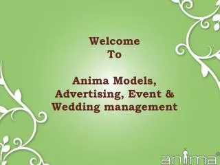 Welcome To Anima Models, Advertising, Event &amp; Wedding management