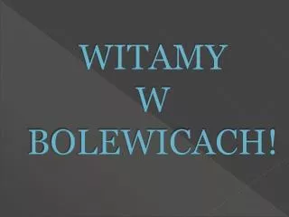 witamy w bolewicach