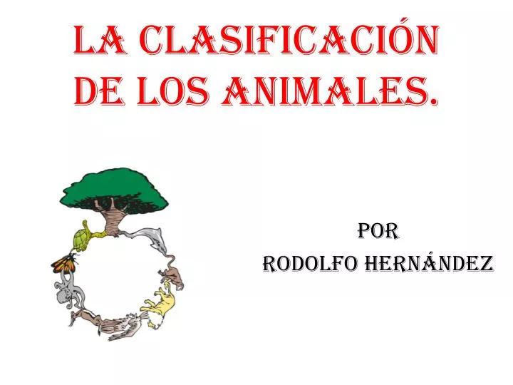 la clasificaci n de los animales