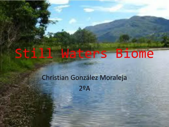 still waters biome