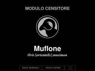 modulo censitore