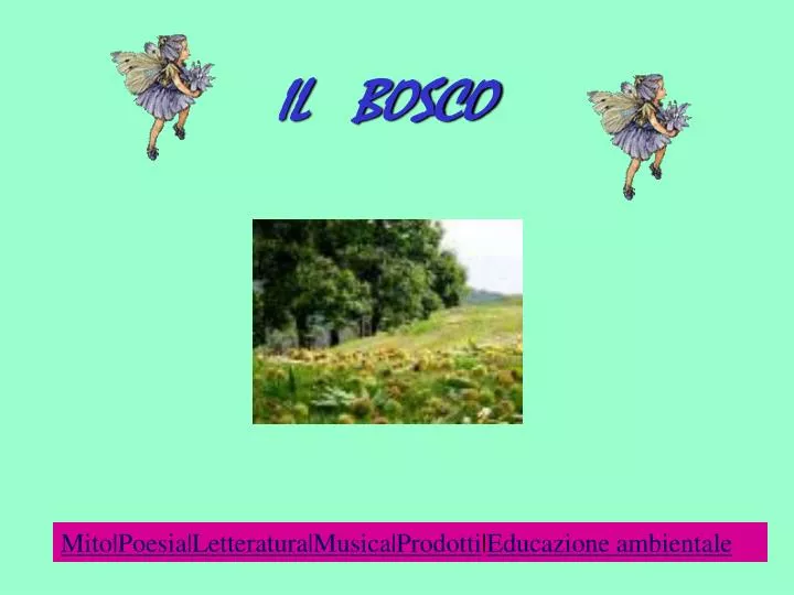 il bosco