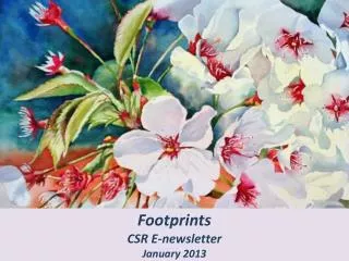 Footprints CSR E-newsletter January 2013
