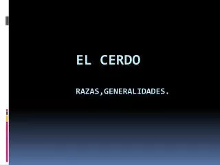 el cerdo razas generalidades