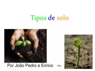 tipos de solo
