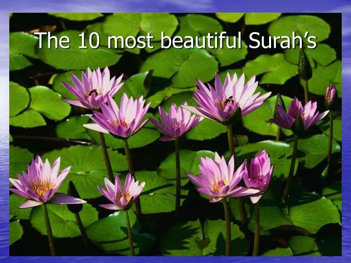 the 10 most beautiful surah s