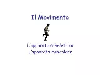il movimento