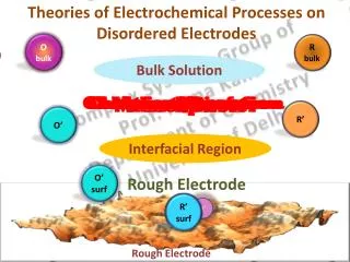 Complex Systems Group of Prof. Rama Kant Department of Chemistry University of Delhi