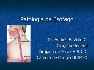 patolog a de es fago