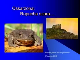 oskar ona ropucha szara
