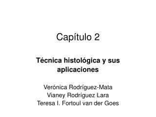 cap tulo 2