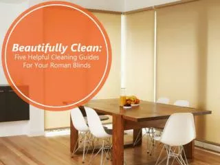 Beautifully Clean: Five Helpful Cleaning Guides For Your Rom