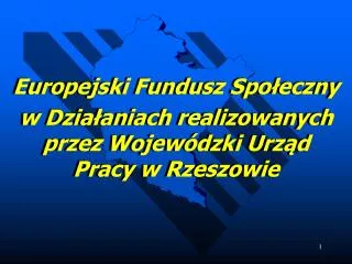 europejski fundusz spo eczny w dzia aniach realizowanych przez wojew dzki urz d pracy w rzeszowie