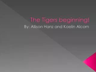 The Tigers beginning!