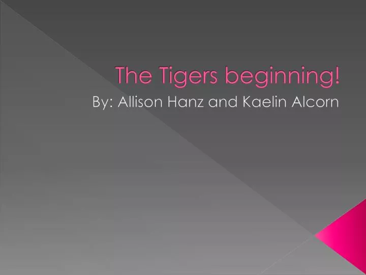 the tigers beginning