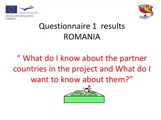 Results questionnaires