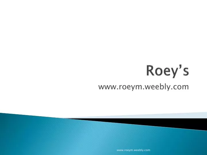 roey s