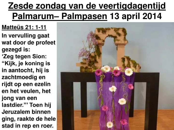 zesde zondag van de veertigdagentijd palmarum palmpasen 13 april 2014