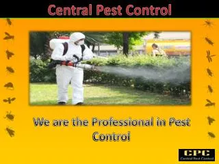 Find The Professional Pest Control in London