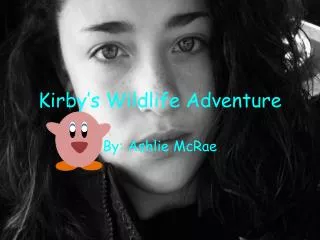 Kirby’s Wildlife Adventure