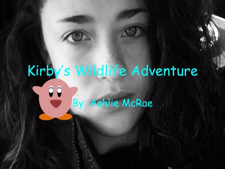 kirby s wildlife adventure